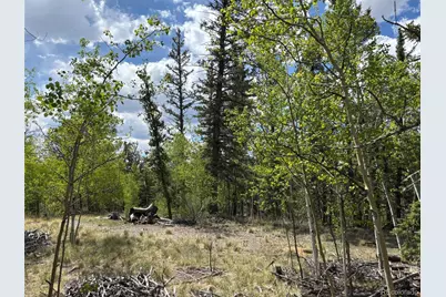 514 Chief Trail, Como, CO 80432 - Photo 3