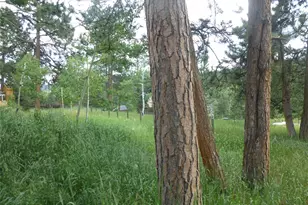 28688 Aspen Dr, Conifer, CO 80433 - Photo 11