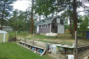 28688 Aspen Dr, Conifer, CO 80433 - Photo 17