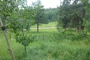 28688 Aspen Dr, Conifer, CO 80433 - Photo 7