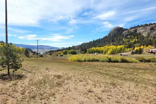 60 Pawnee Path, Lake George, CO 80827 - Photo 35