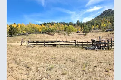 60 Pawnee Path, Lake George, CO 80827 - Photo 33