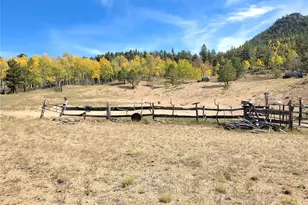 60 Pawnee Path, Lake George, CO 80827 - Photo 33