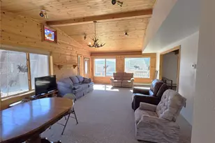 60 Pawnee Path, Lake George, CO 80827 - Photo 3