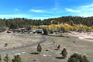 60 Pawnee Path, Lake George, CO 80827 - Photo 29