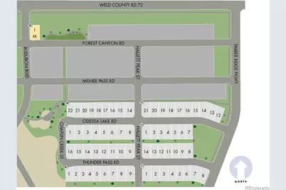 1132 Thunder Pass Road, Severance, CO 80550 - Photo 23