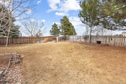 10720 Mount Antero Way, Parker, CO 80138 - Photo 21