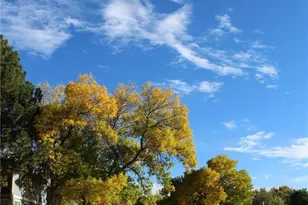 1291 S Wheeling Way, Aurora, CO 80012 - Photo 31