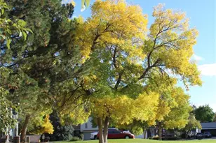 1291 S Wheeling Way, Aurora, CO 80012 - Photo 29