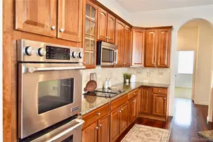 7304 Sapphire Pointe Blvd, Castle Rock, CO 80108 - Photo 9