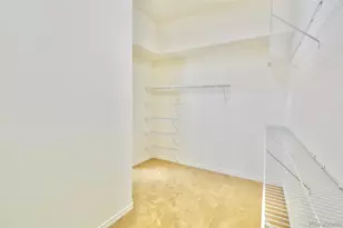 7304 Sapphire Pointe Blvd, Castle Rock, CO 80108 - Photo 23