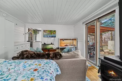 49756 Highway 285, Grant, CO 80448 - Photo 9