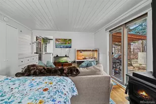 49756 Hwy 285, Grant, CO 80448 - Photo 9