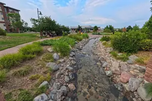 592 Brookhurst Ave, Highlands Ranch, CO 80129 - Photo 43