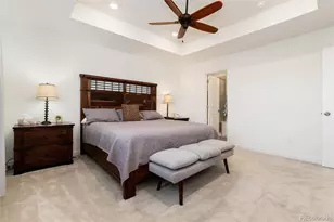 8962 Larose Ct, Parker, CO 80134 - Photo 29