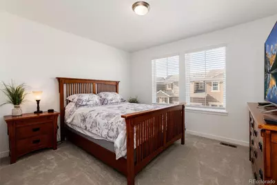 8962 Larose Court, Parker, CO 80134 - Photo 33