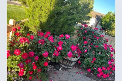 2825 Masters Lane, Castle Rock, CO 80104 - Photo 43