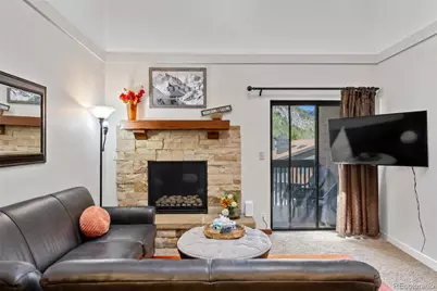 500 Bills Ranch Road #341, Frisco, CO 80443 - Photo 5