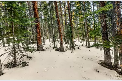 343 Sunshine Drive, Fairplay, CO 80440 - Photo 23