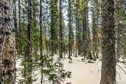 343 Sunshine Drive, Fairplay, CO 80440 - Photo 19