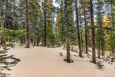 343 Sunshine Drive, Fairplay, CO 80440 - Photo 25