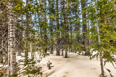 343 Sunshine Drive, Fairplay, CO 80440 - Photo 29