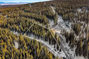 343 Sunshine Dr, Fairplay, CO 80440 - Photo 1