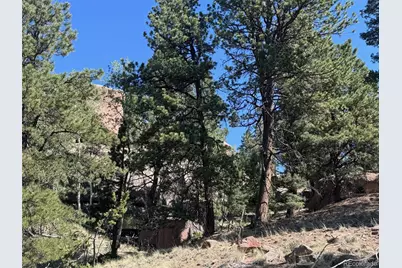 2356 N Mountain Estates Road, Florissant, CO 80816 - Photo 11
