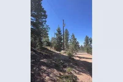 2356 N Mountain Estates Road, Florissant, CO 80816 - Photo 43