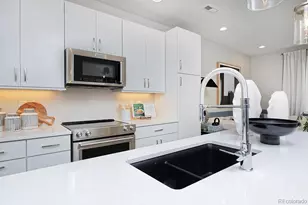 3263 W Frances Walsh Pl, Denver, CO 80236 - Photo 3