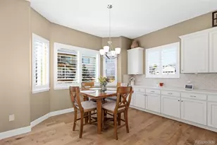 7005 Leilani Dr, Castle Rock, CO 80108 - Photo 11