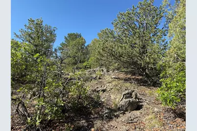 20 Molly Lane, Cotopaxi, CO 81223 - Photo 15