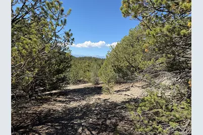 20 Molly Lane, Cotopaxi, CO 81223 - Photo 29