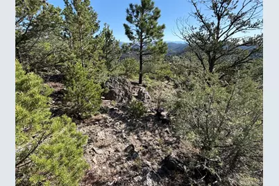 20 Molly Lane, Cotopaxi, CO 81223 - Photo 17