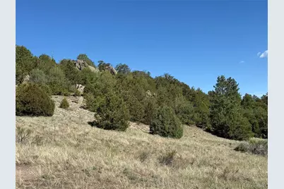 20 Molly Lane, Cotopaxi, CO 81223 - Photo 31