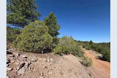 20 Molly Lane, Cotopaxi, CO 81223 - Photo 41