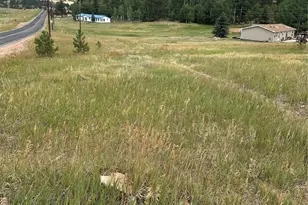 17 and 33 Deer Ridge Trail, Florissant, CO 80816 - Photo 1