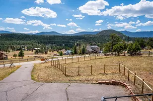 175 Blackbird Dr, Bailey, CO 80421 - Photo 37