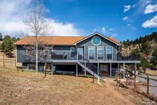175 Blackbird Dr, Bailey, CO 80421 - Photo 3