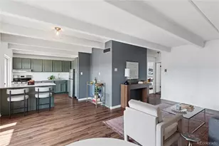 1441 N Humboldt St, Denver, CO 80218 - Photo 5