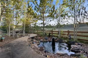2831 Russet Sky Ct, Castle Rock, CO 80108 - Photo 37