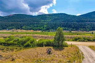 2399 Co Rd 6, Alma, CO 80420 - Photo 23