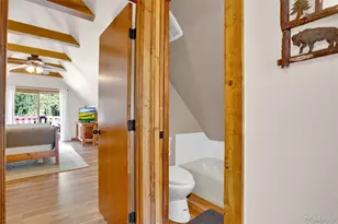 2399 Co Rd 6, Alma, CO 80420 - Photo 41
