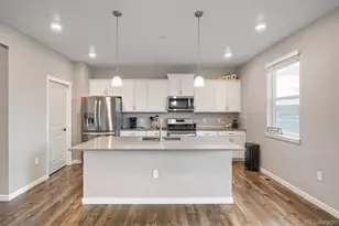 17311 Rose Mallow St, Parker, CO 80134 - Photo 5