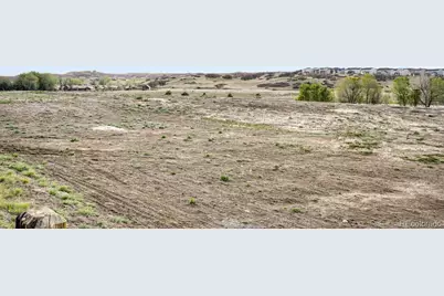 17311 Rose Mallow Street, Parker, CO 80134 - Photo 27
