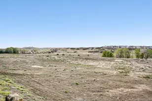 17311 Rose Mallow St, Parker, CO 80134 - Photo 27