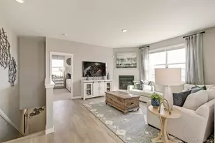 14616 Beebalm Ave, Parker, CO 80134 - Photo 5