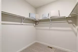 14616 Beebalm Ave, Parker, CO 80134 - Photo 21