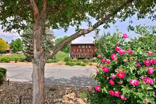 1341 Washburn St, Erie, CO 80516 - Photo 1