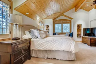 113 Primrose Pl, Frisco, CO 80443 - Photo 17